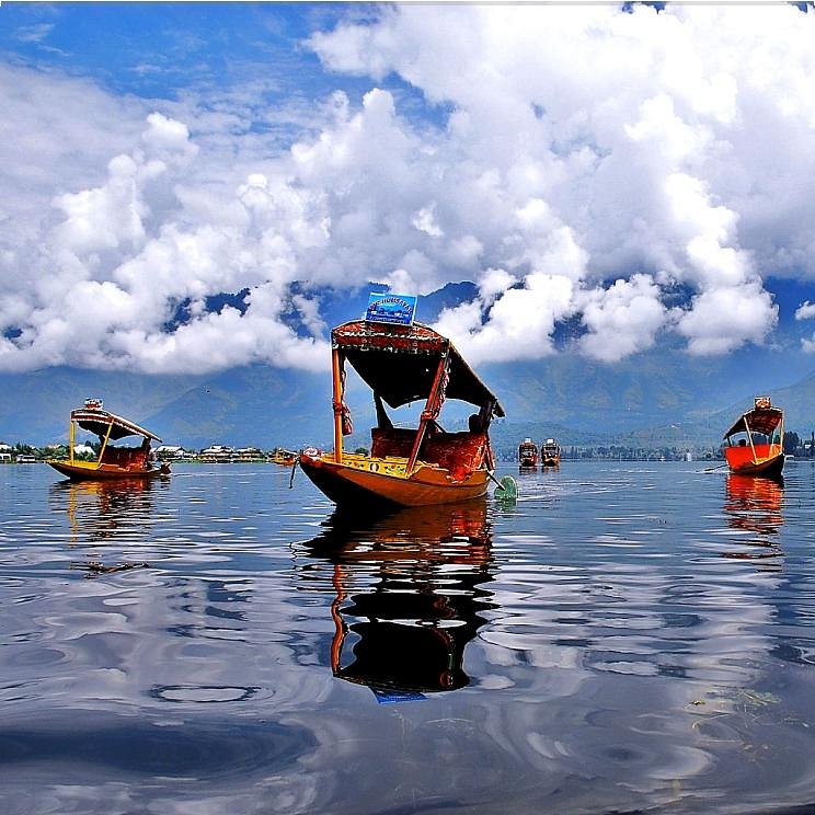 Dal View Resort