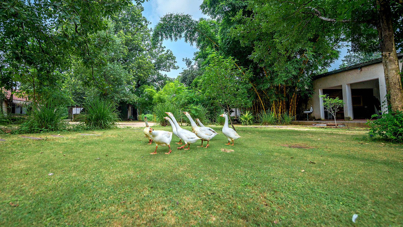 Beyond Stay Mahua Vann Pench