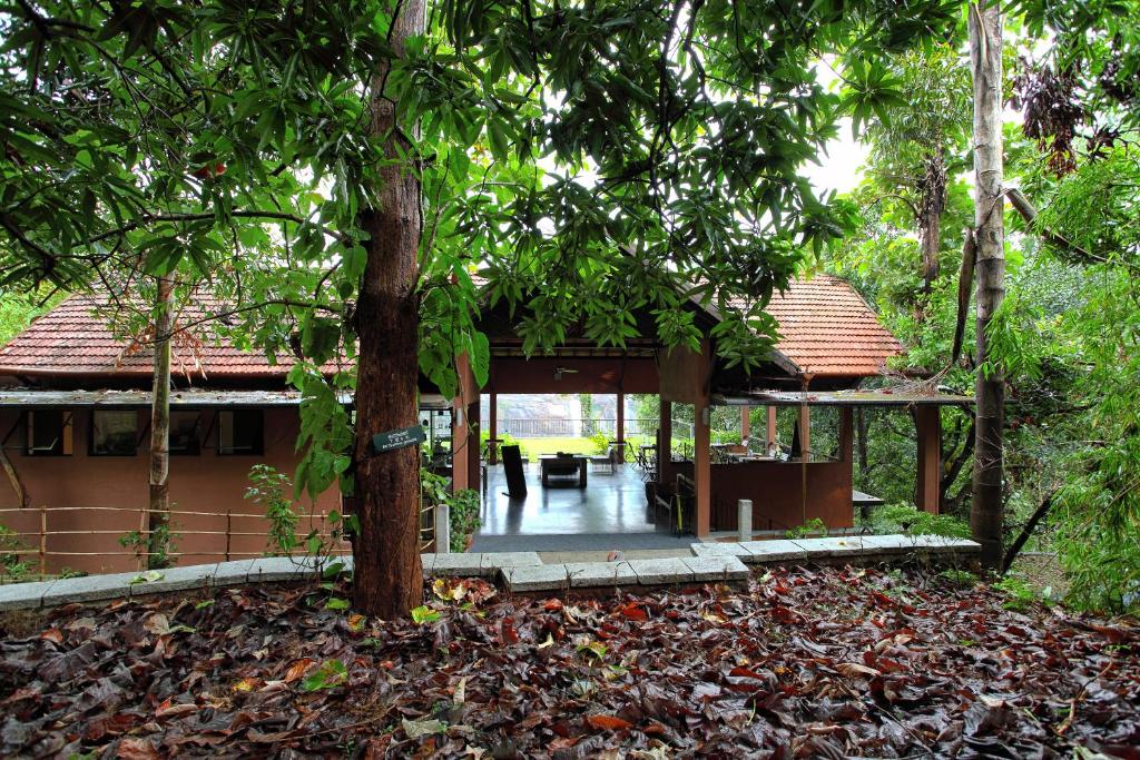 Rainforest Resort