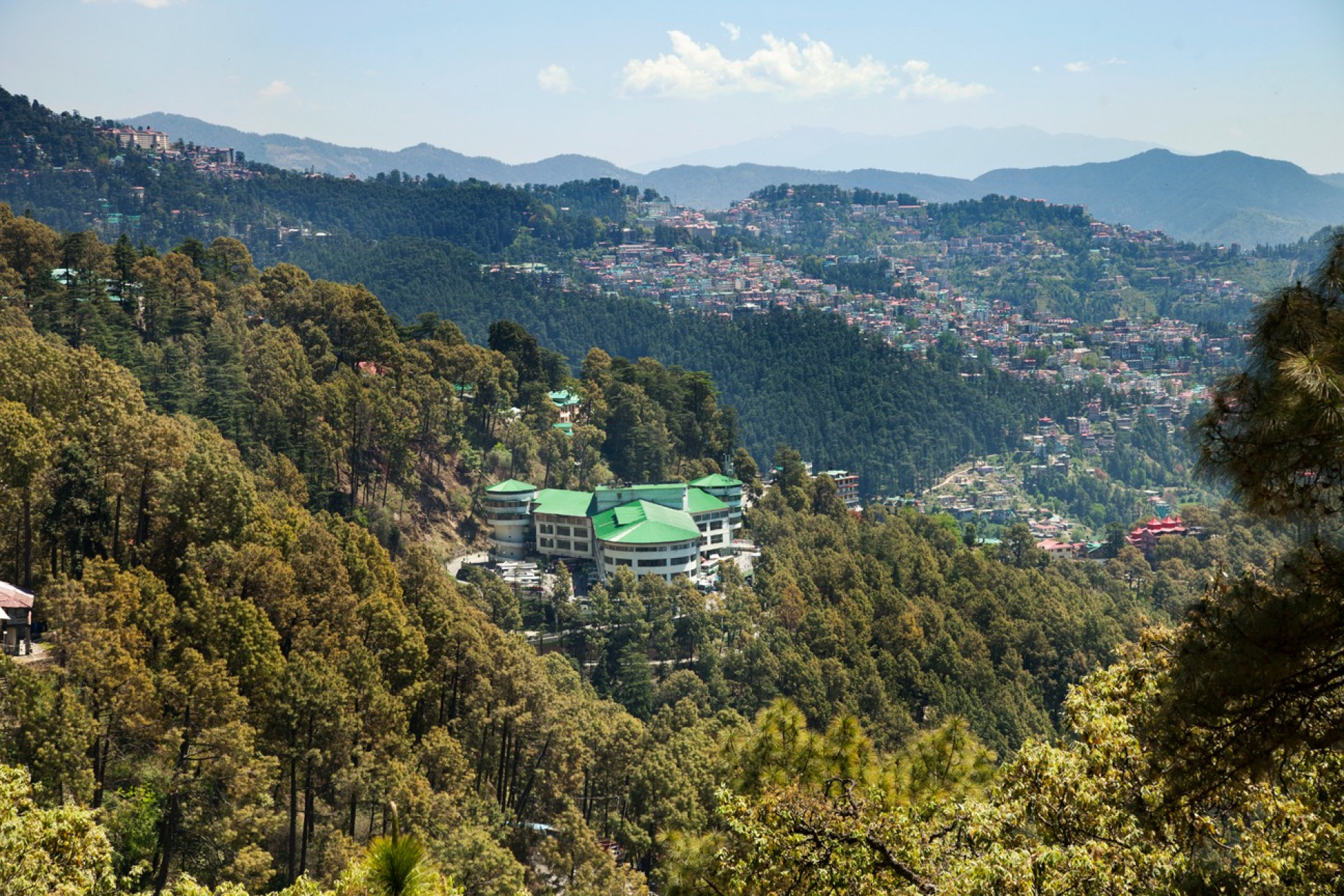 Hotel Ck International - Shimla