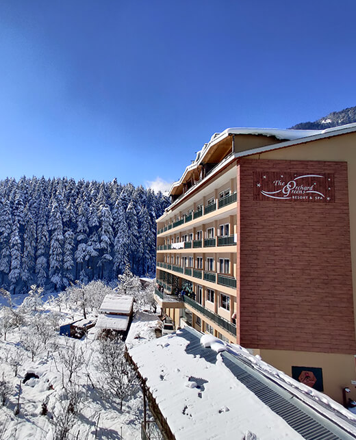 The Orchard Greens Resort