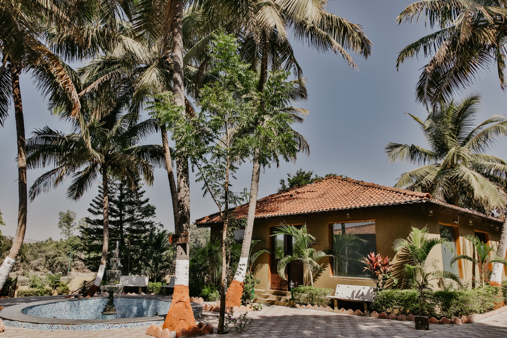 Trulyy Gir Lion Safari Camp