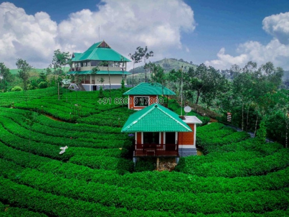 Vagamon