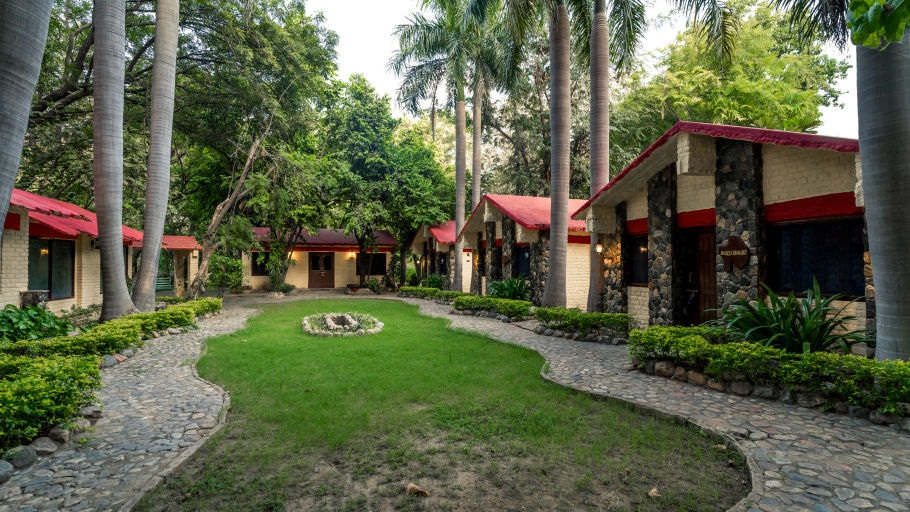 Leopard Lair Ananta Elite - Bera