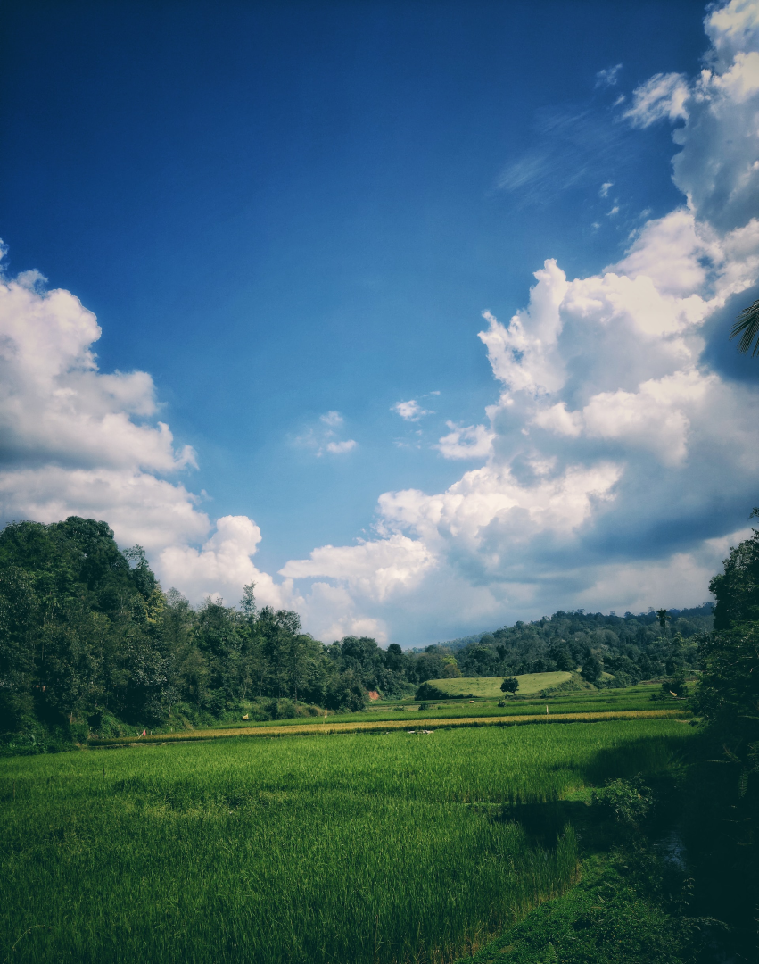 Coorg