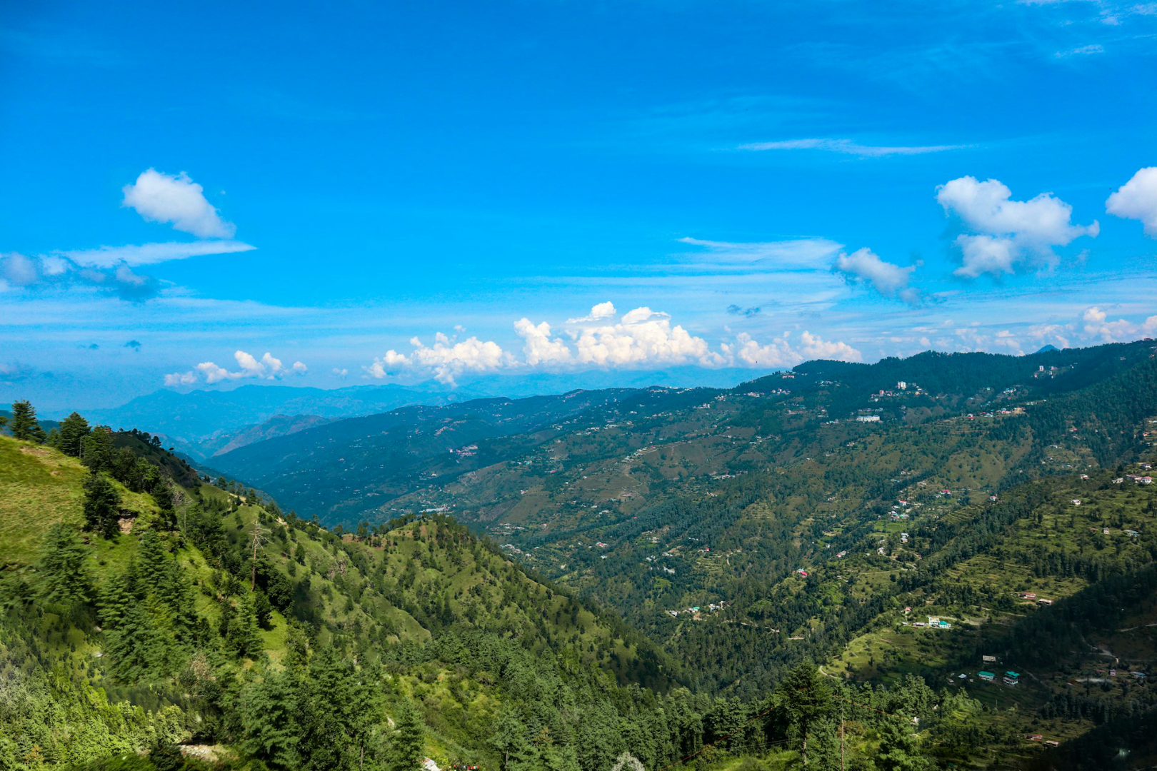 Shimla