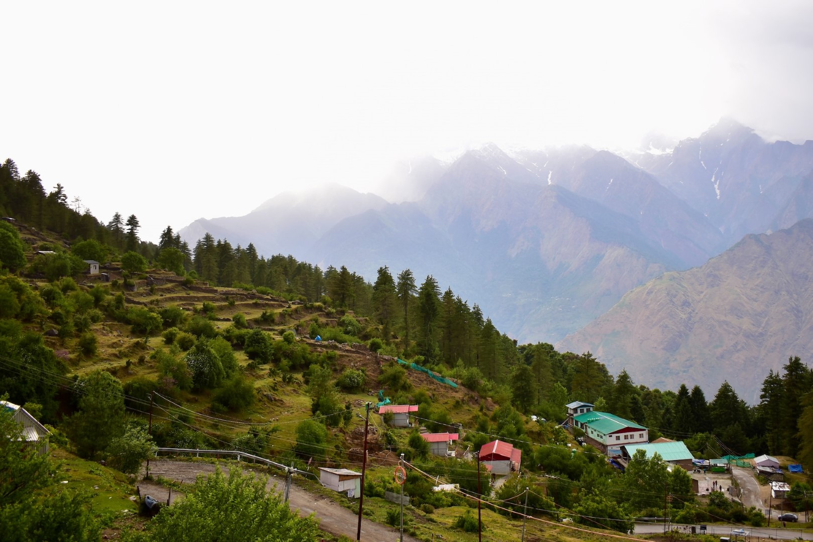 Auli