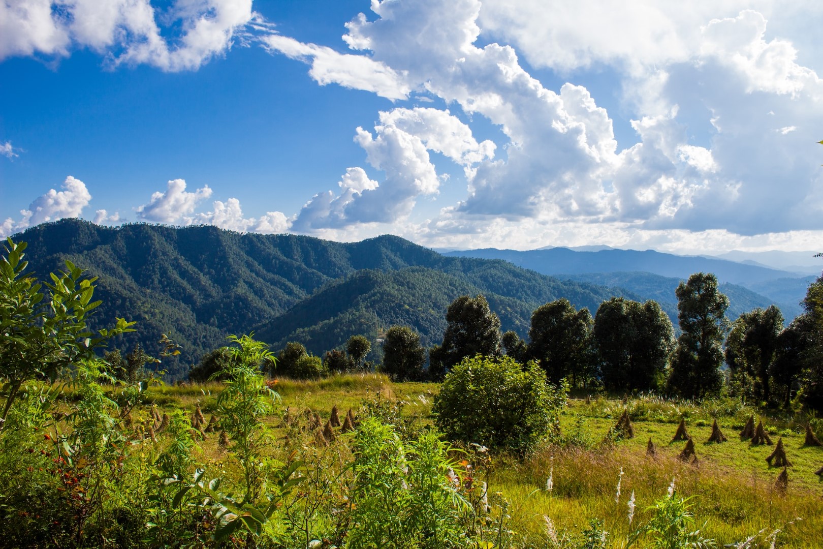 Kausani