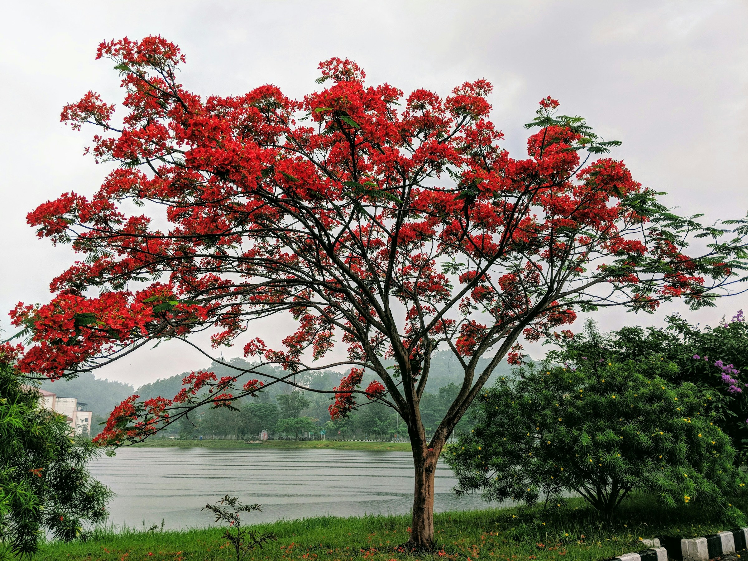 Portrait of Cherrapunjee, Shillong and Guwahati Tours packages