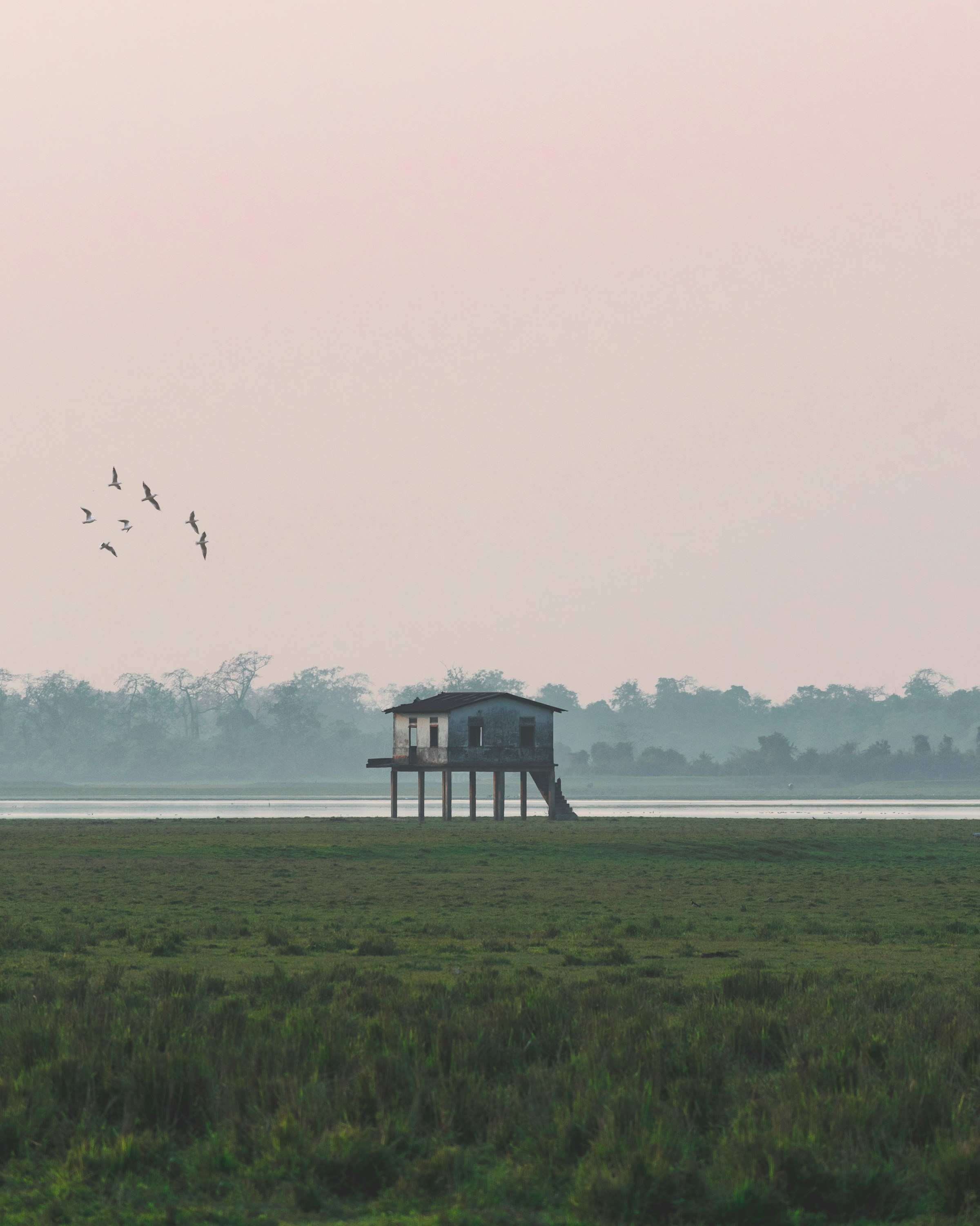 Kaziranga National Park