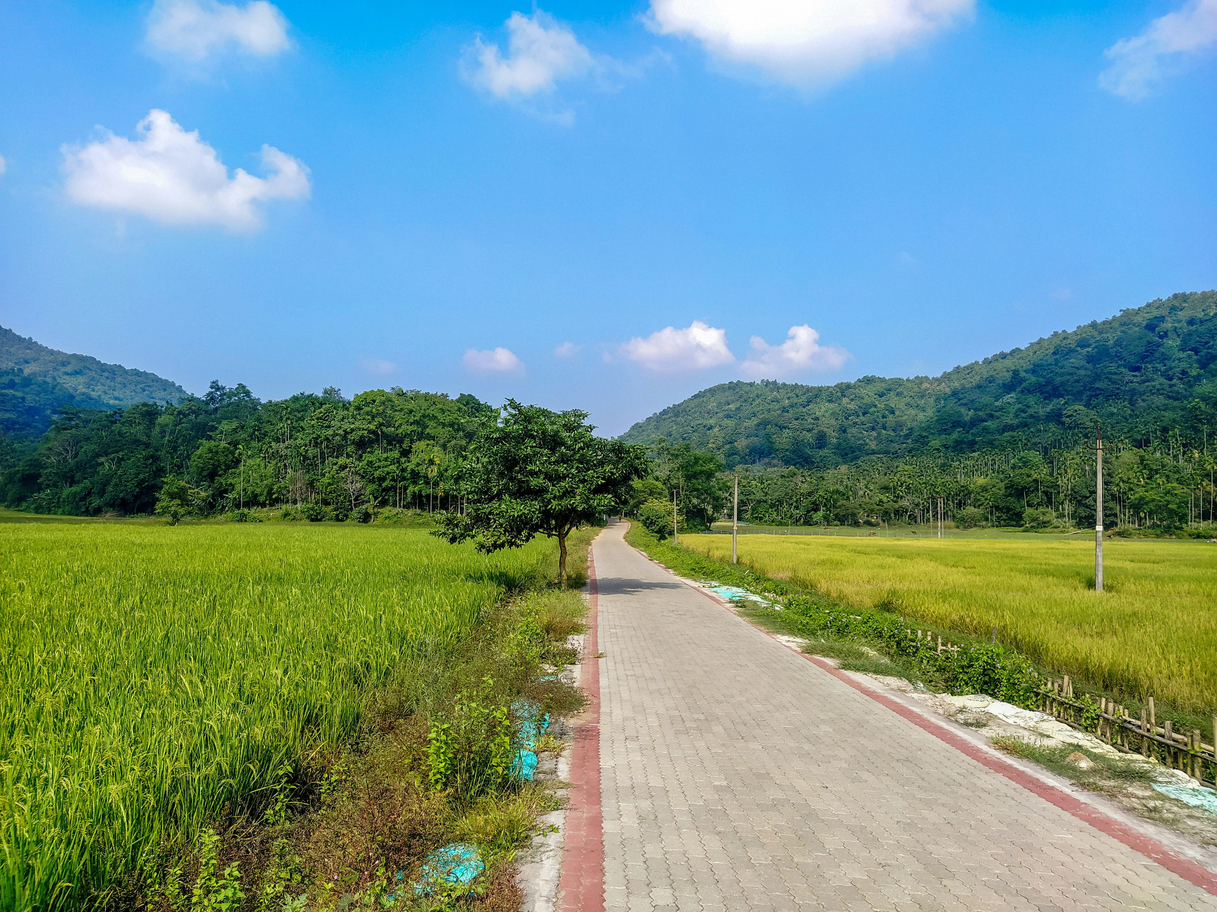 Bongaigaon
