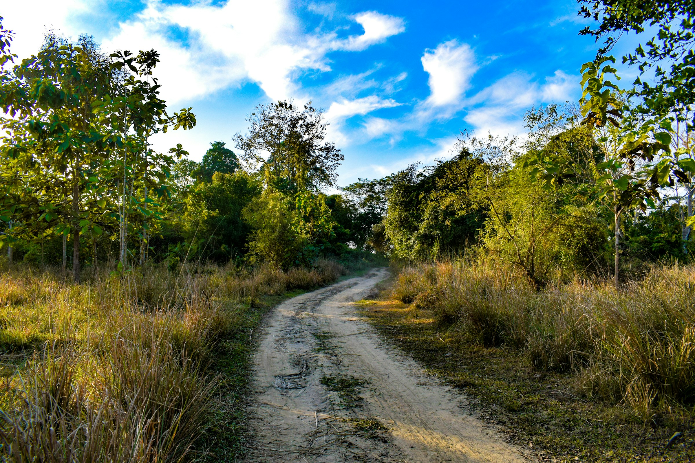 Dibrugarh