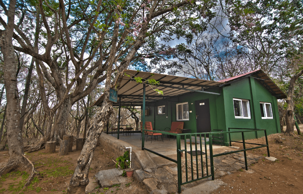 Bamboo Banks Farm Guest House