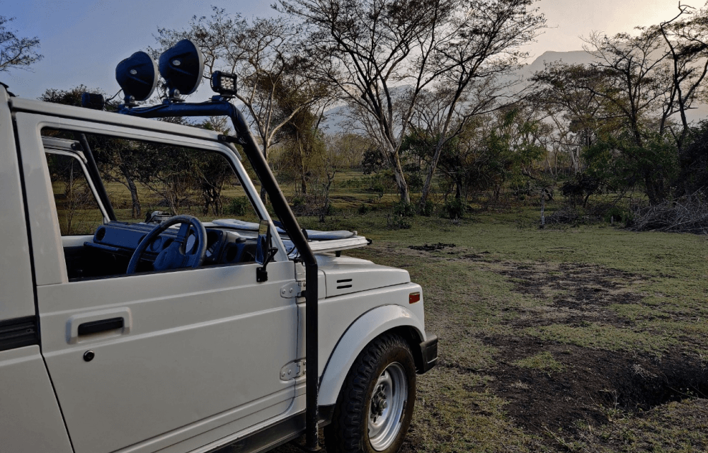 Bandipur Safari Lodge By Junglelodges
