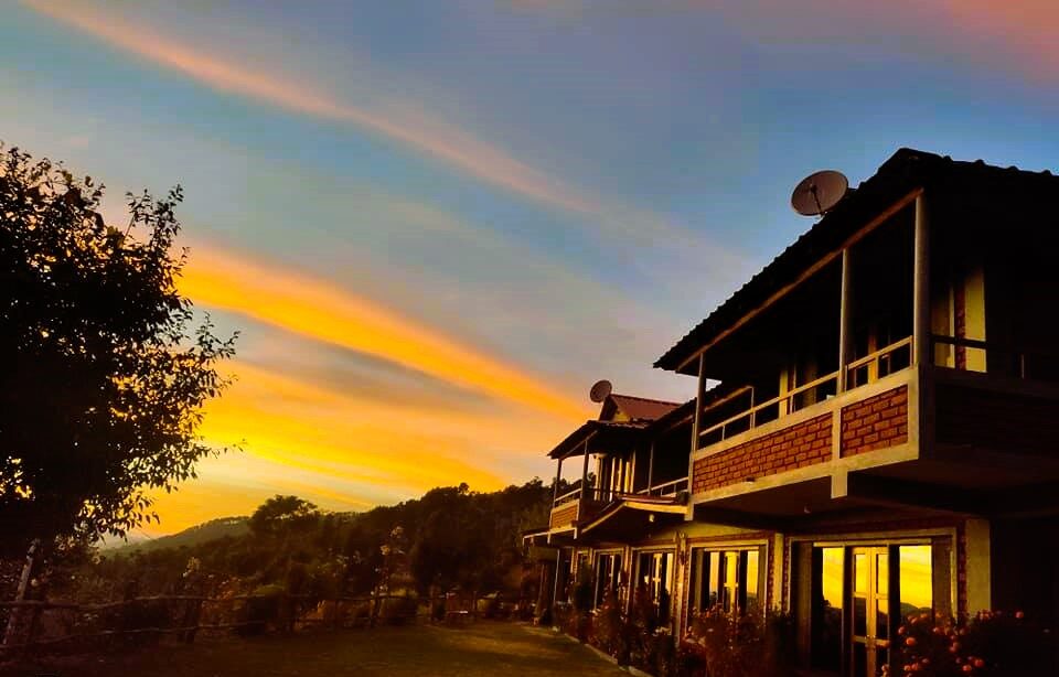 Binsar oak paradise