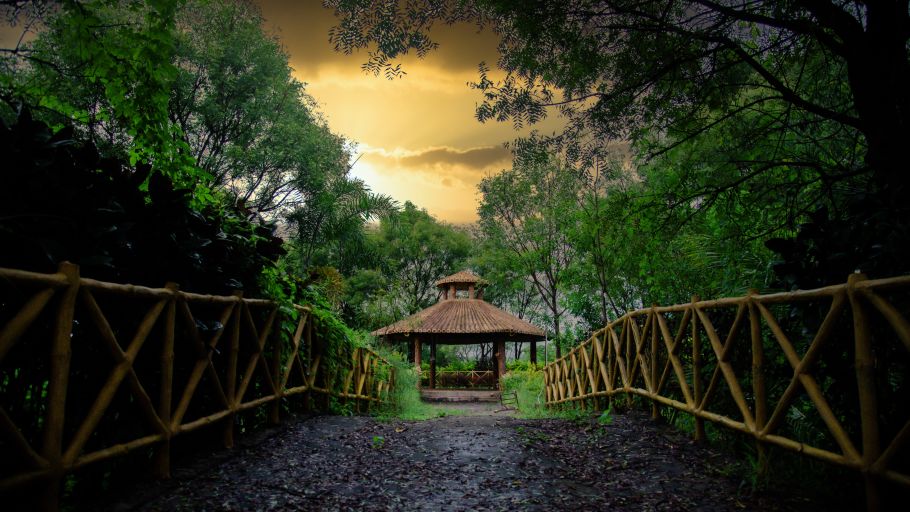 Morpho Banashree Resort