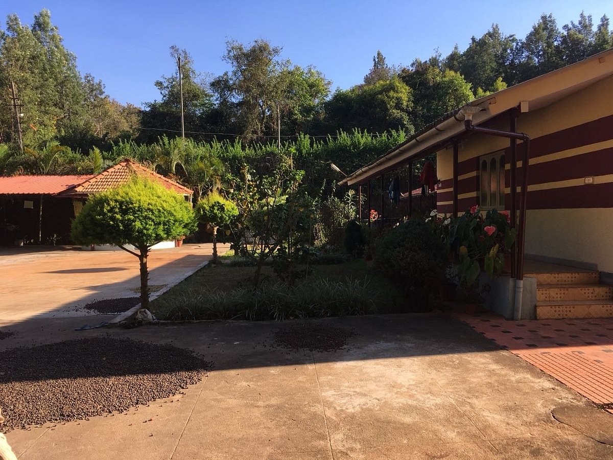 Red Berry Homestay