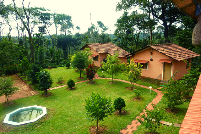 Coorg Coffee Camp