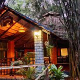 Jungle Inn
