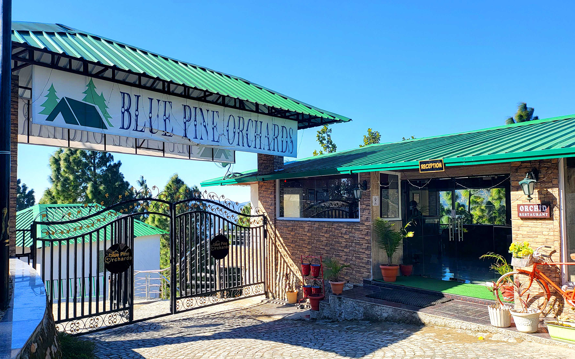 Bluepine Orchard