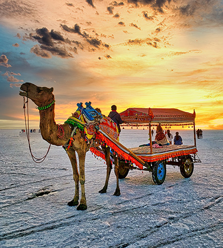 Gateway to Rann