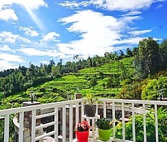 La Niebla Farm Resort
