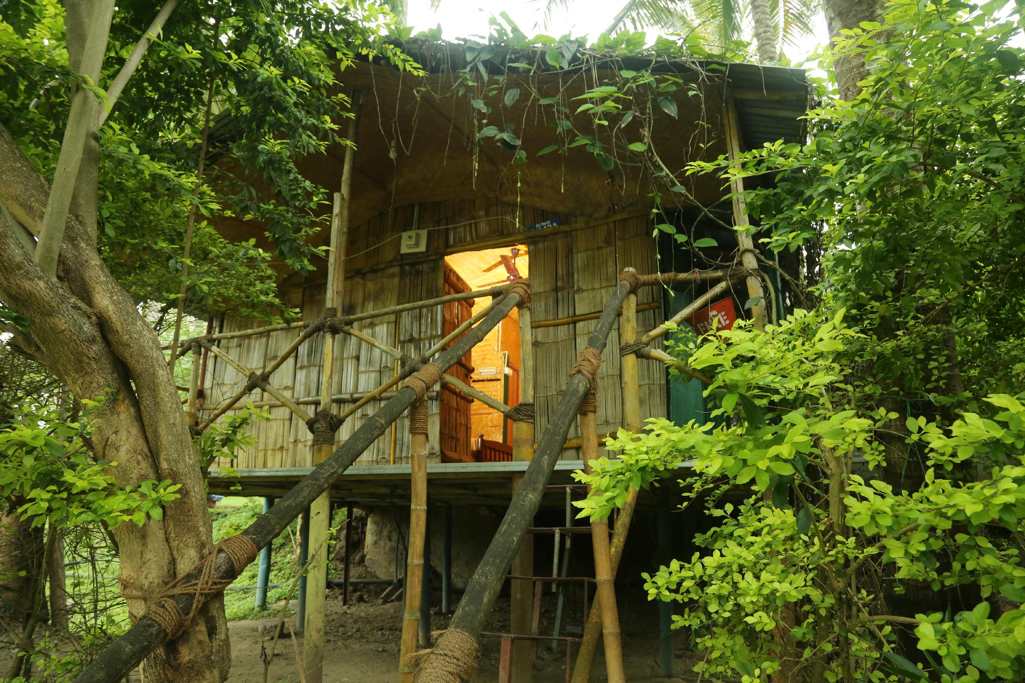 Singaras Coffee Country
