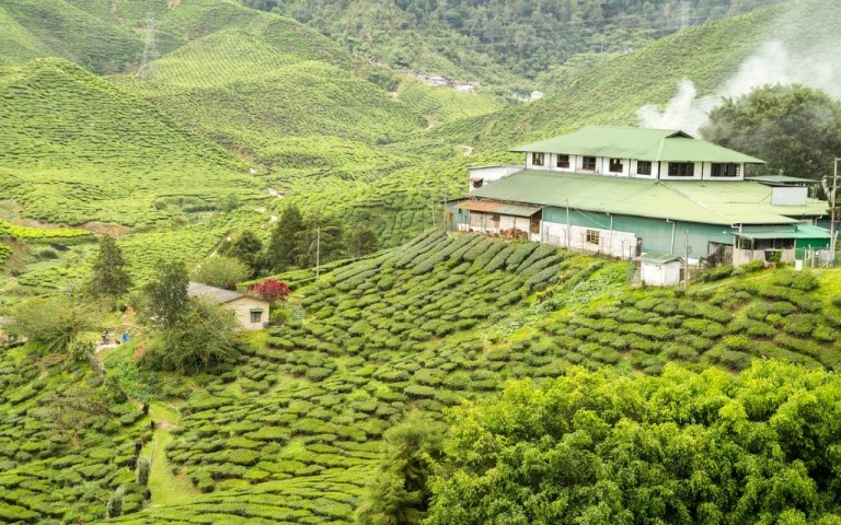 Tour package of शानदार Kerala (KLA47)