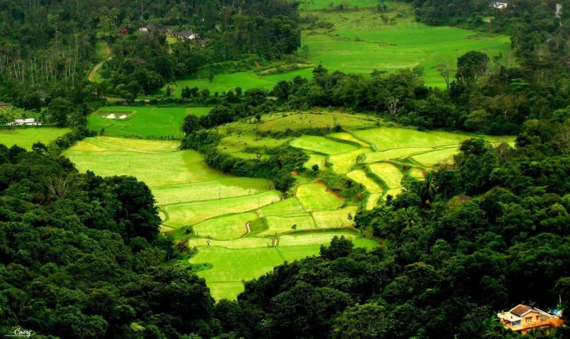 Karnataka की झलक (KAA63) | Best and affordable tour packages