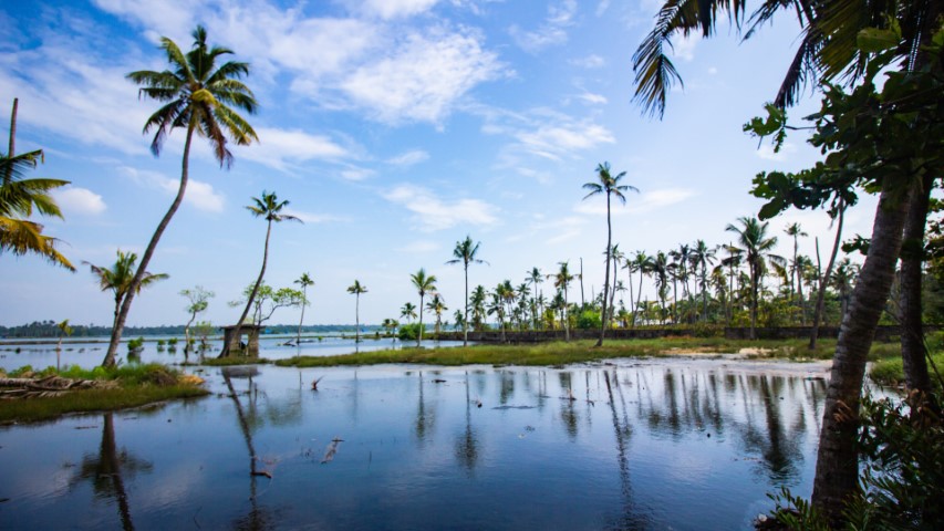 सर्वोत्तम Kerala (KLA49)