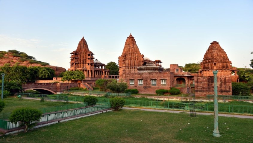 गुलाबी Rajasthan (RJA54)