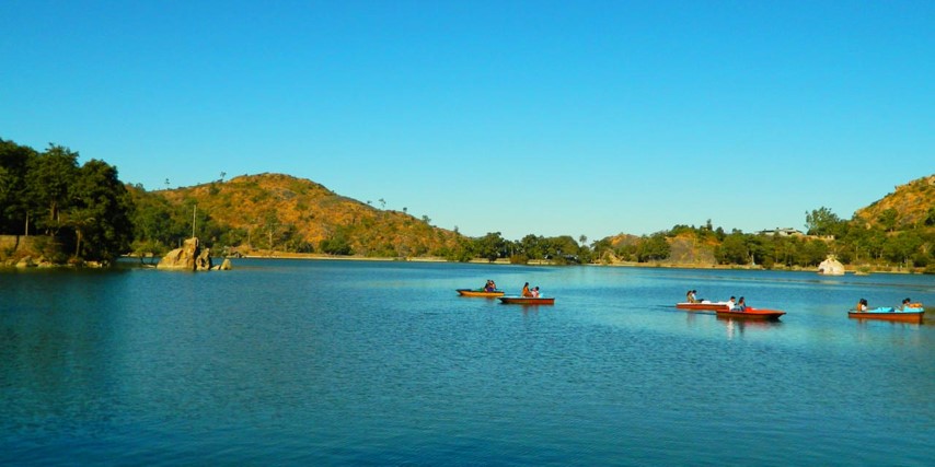 लहरिया Rajasthan (RJA51)
