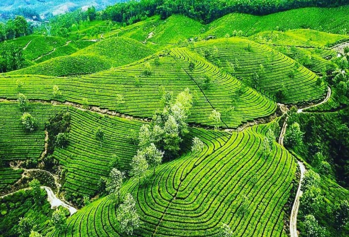 खूबसूरत Kerala (KLA45)