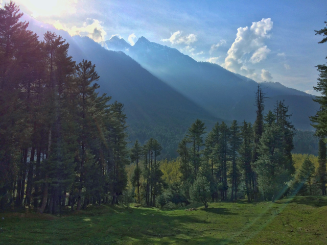 गुलिस्ताँ e Kashmir (JKA36)