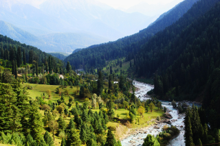 मनमोहक Tour of Kashmir (JKA38)