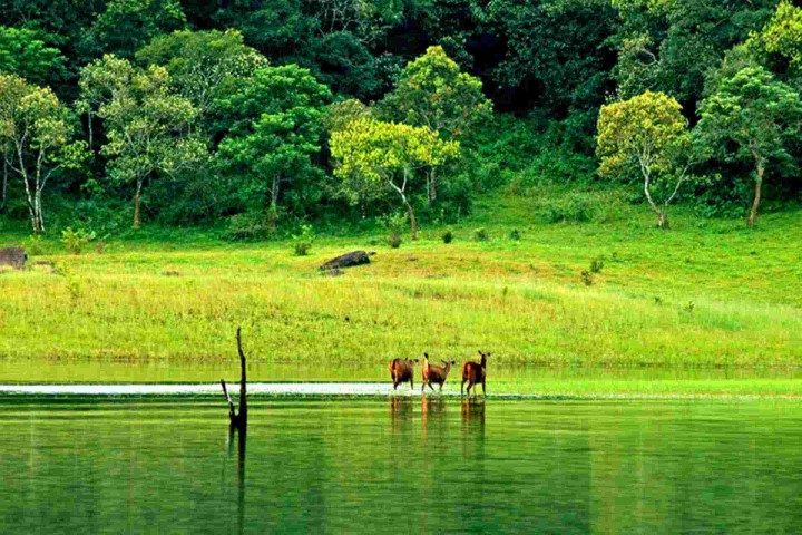 Tour package of मशहूर Kerala (KLA42)