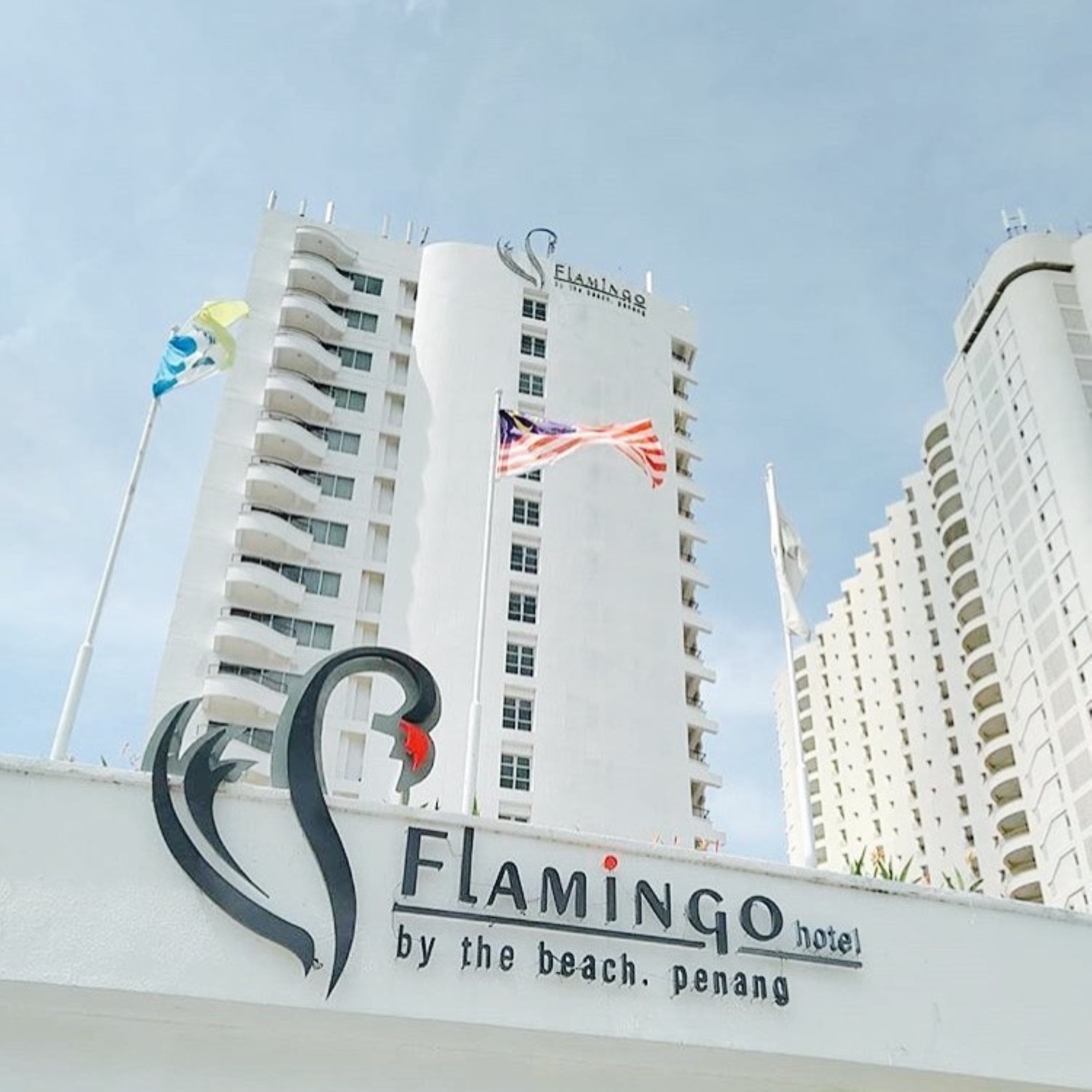 Flamingo By the Beach